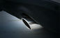 Audi Q5 2009 2013 Dekorasi suku cadang, stainless steel Tail ventilasi pipa penutup pemasok